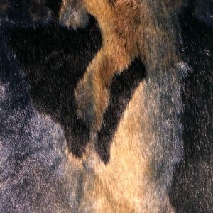 luxurious FAUX FUR VEST